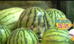 反差 网红热瓜,网红热瓜背后的反差魅力