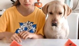 吃瓜视频每日大赛